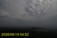 Img20260619_045206.jpg