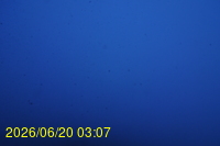 Img20260620_030710.jpg