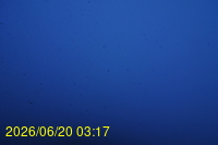 Img20260620_031710.jpg