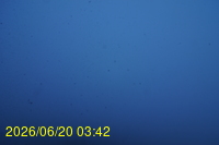Img20260620_034211.jpg