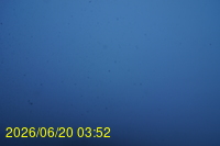 Img20260620_035211.jpg