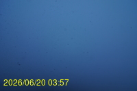Img20260620_035711.jpg