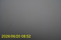 Img20260620_085212.jpg