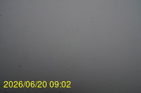 Img20260620_090212.jpg
