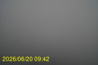 Img20260620_094212.jpg