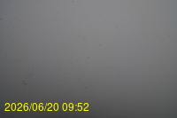 Img20260620_095212.jpg