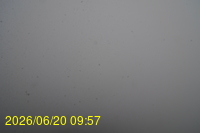 Img20260620_095712.jpg
