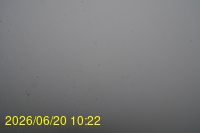 Img20260620_102212.jpg