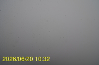 Img20260620_103212.jpg