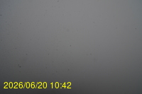 Img20260620_104212.jpg