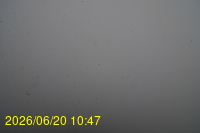 Img20260620_104712.jpg