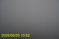 Img20260620_105212.jpg