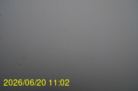 Img20260620_110212.jpg