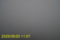Img20260620_110712.jpg
