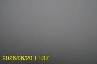 Img20260620_113712.jpg