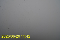 Img20260620_114212.jpg
