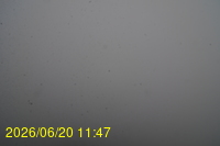 Img20260620_114712.jpg