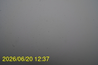 Img20260620_123713.jpg