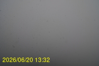 Img20260620_133213.jpg