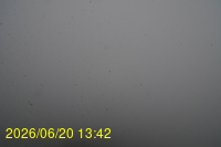 Img20260620_134213.jpg