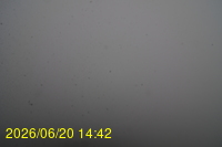 Img20260620_144213.jpg