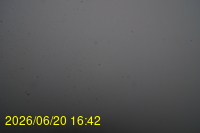 Img20260620_164214.jpg