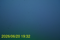 Img20260620_193214.jpg