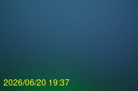 Img20260620_193714.jpg