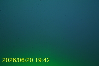 Img20260620_194214.jpg