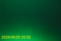 Img20260620_200214.jpg
