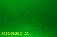 Img20260620_210215.jpg