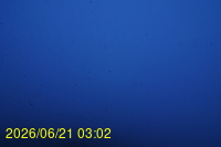 Img20260621_030216.jpg