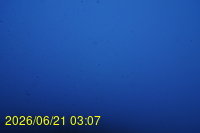 Img20260621_030716.jpg