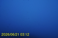Img20260621_031216.jpg