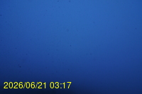 Img20260621_031716.jpg