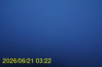 Img20260621_032216.jpg