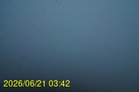 Img20260621_034216.jpg
