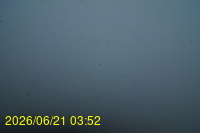 Img20260621_035216.jpg