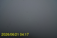 Img20260621_041716.jpg