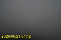 Img20260621_044216.jpg