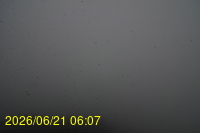 Img20260621_060717.jpg