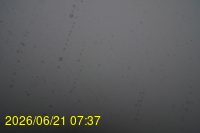 Img20260621_073717.jpg