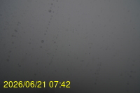 Img20260621_074217.jpg