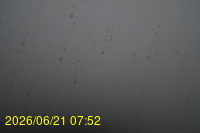 Img20260621_075217.jpg