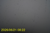 Img20260621_082217.jpg