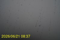Img20260621_083717.jpg