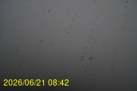 Img20260621_084217.jpg