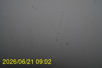 Img20260621_090217.jpg