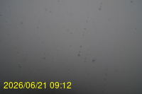 Img20260621_091217.jpg