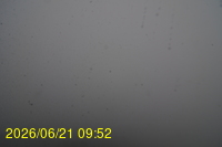 Img20260621_095217.jpg